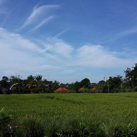 Kun - Kun Guest House Ubud Luaran gambar