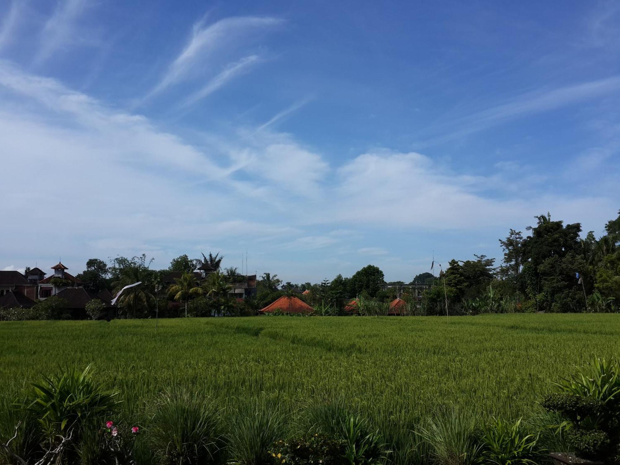 Kun - Kun Guest House Ubud Luaran gambar